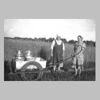 110-0042 Sommer 1939 in Warnien. Wenn kein Pferd frei war, zogen Frau Hennig und Ursula Scharwies mit dem kleinen Wagen zum Melken.jpg